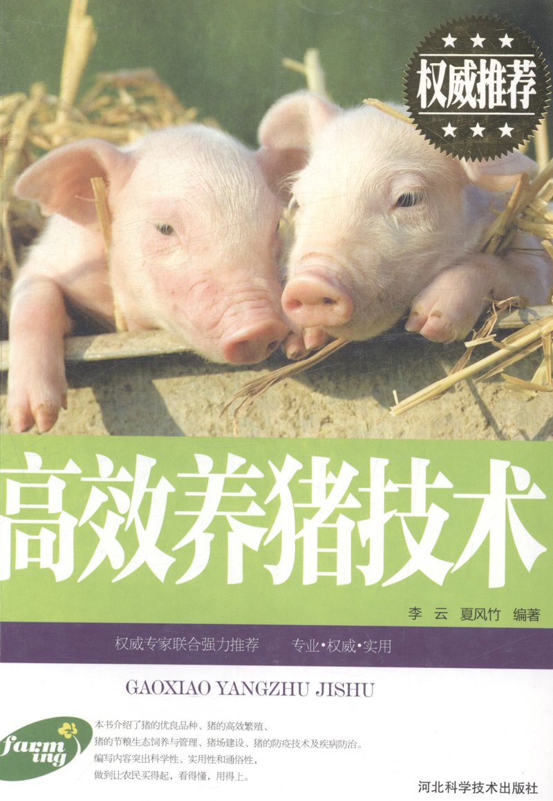 合肥系统集成:企业数字化转型的秘密武器